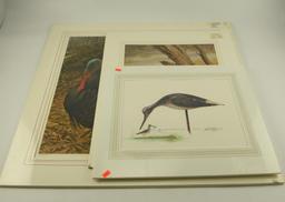 (1)  matted print Massachusetts Duck stamp Yellowleg by John Reggert 298/400 16” x 18”, (1)