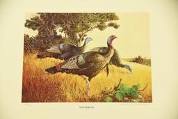 1987 Wild Turkey Federation Print “The Clearing" by Jim Killen, 1986 NWTF print “Bearded Bronze