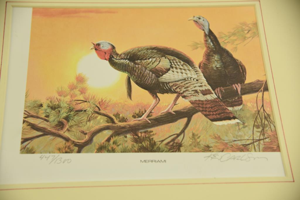 1989 Massachusetts Duck Stamp print by Lou Barnicle, 1988 Massachussets Duck Stamp print by Bob