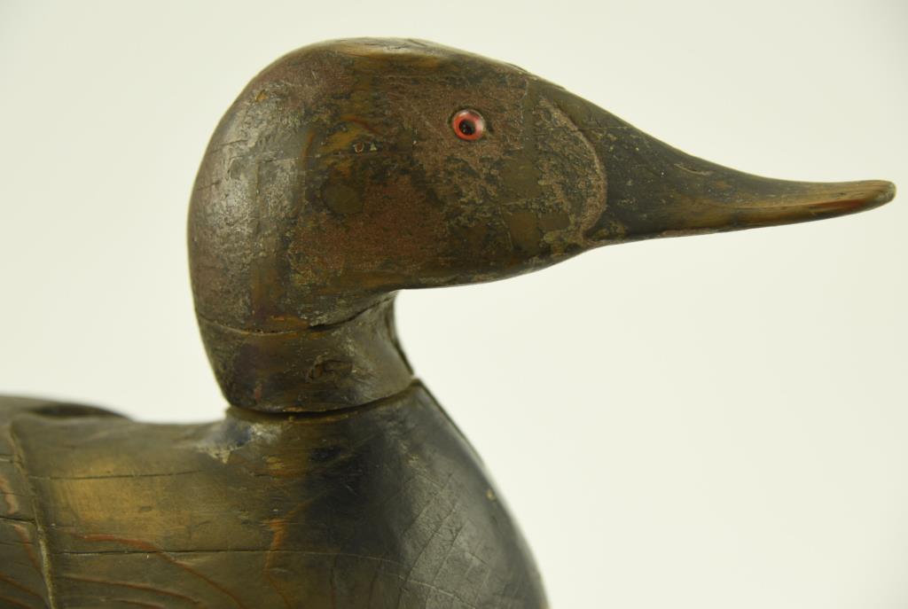 Lot #321 - 1931 L.T. Ward Bro. Crisfield, MD Primitive Cedar Body Canvasback Hen Decoy signed