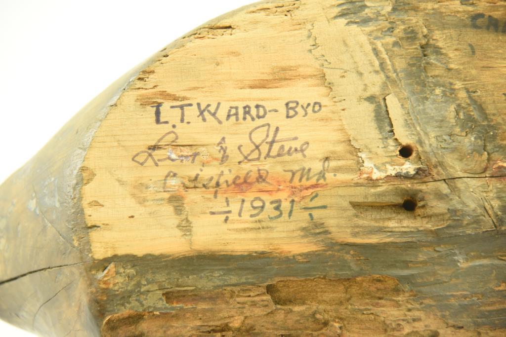 Lot #321 - 1931 L.T. Ward Bro. Crisfield, MD Primitive Cedar Body Canvasback Hen Decoy signed