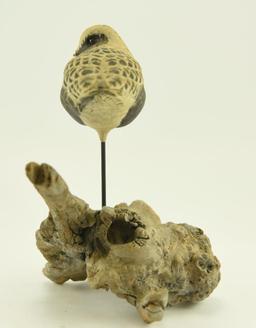 Lot #333 - Superb Donald McKinlay (World Champion Carver) Standing Life-Size Golden Plover on