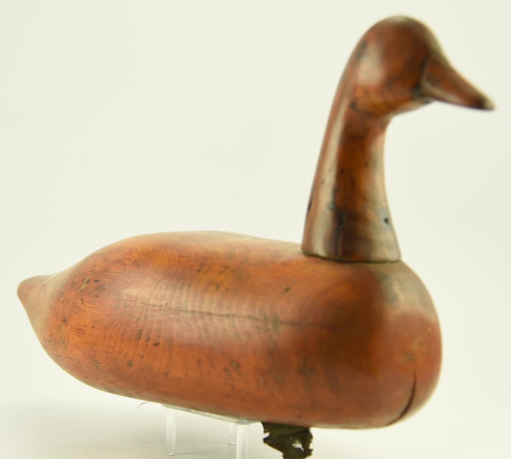 Lot #339 - Natural Finish Canada Goose by Chief Cuffee, New York from the Charles Albert Porter