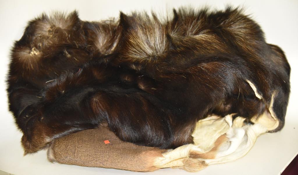 Lot #2 - Black bear hide and white tail deer hide (deer hide as a hole in it)