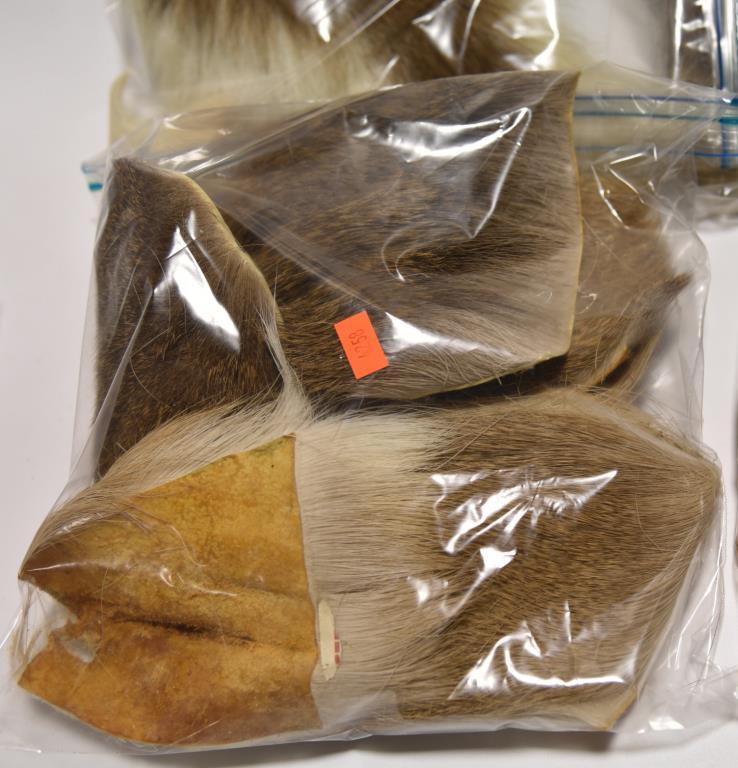 Lot #36 - Large Qty of buck tails packaged in plastic bags