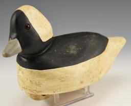 Bufflehead Drake decoy branded HJ signed Hal