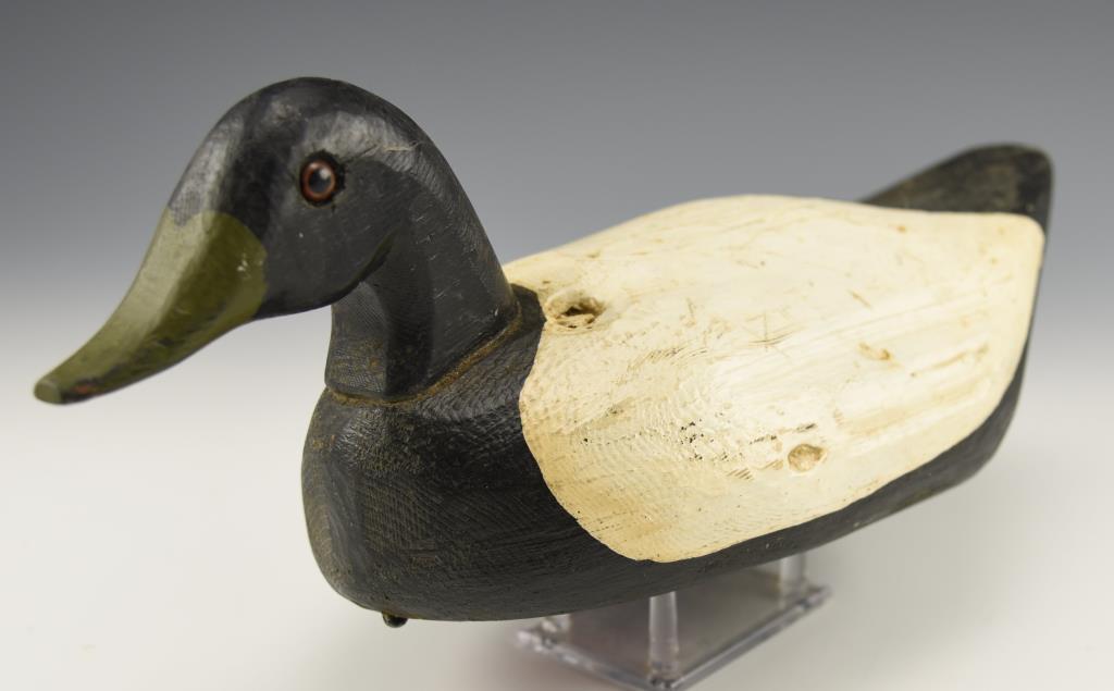 Carved Eider decoy signed Jack J Cobb Island,