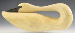 Ben Richardson Hallow Body preening model swan