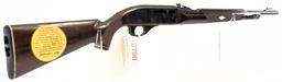 Remington Arms Co Nylon 66 Semi Auto Rifle .22 LR MODERN/C&R