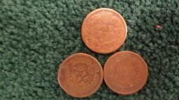 (3) 1881 Indian Head Penny