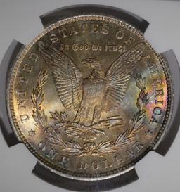 1896 MORGAN DOLLAR NGC MS63 COLOR