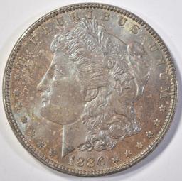 1886 MORGAN DOLLAR   UNC  TONED