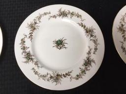 12 Minton Dinner Plates