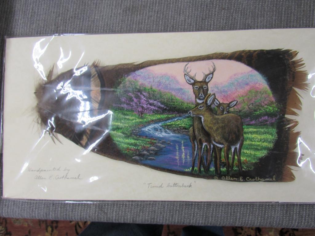 Turkey feather art and NWTF picture.