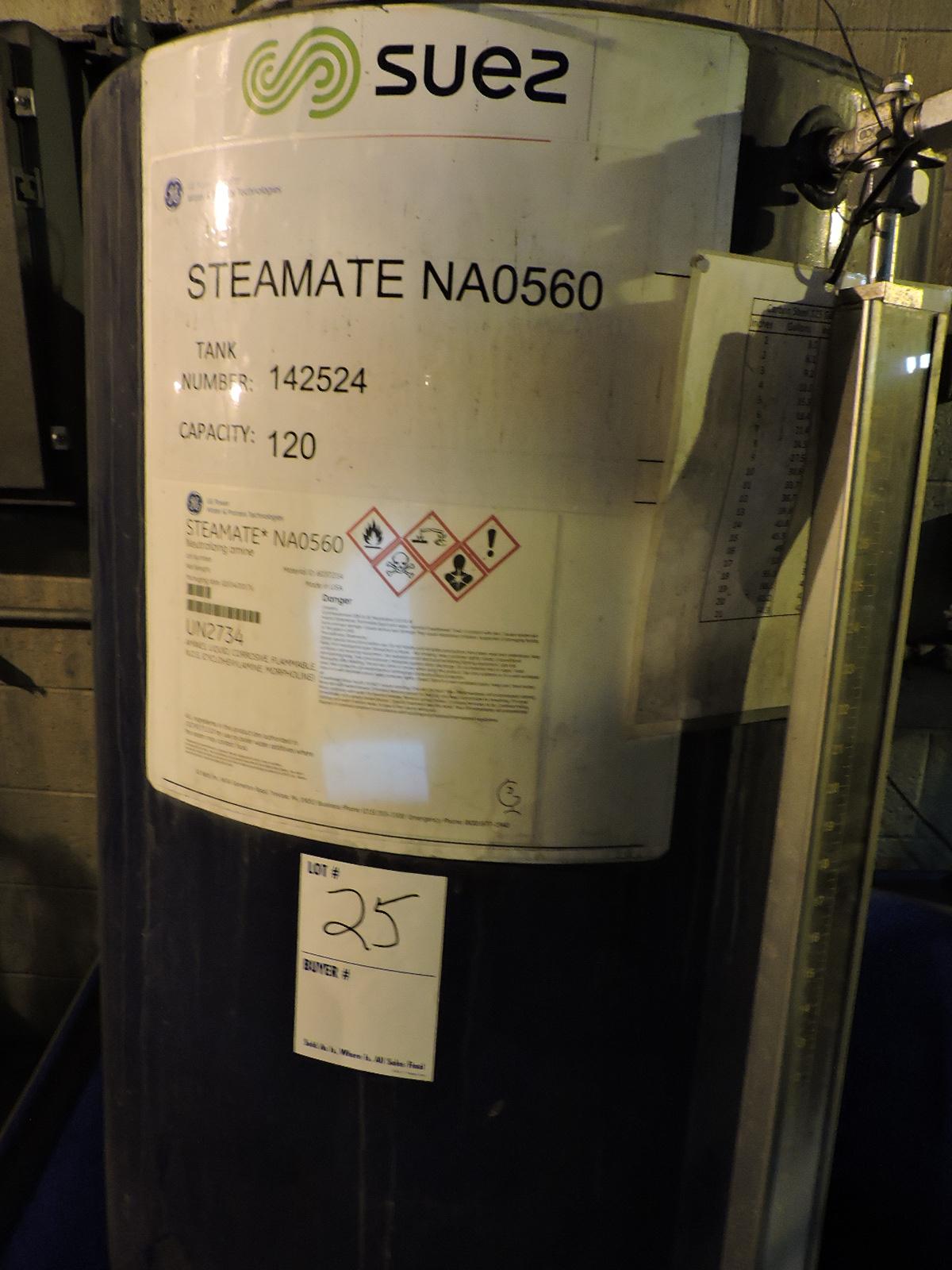 SUEZ Steamate NA0560 Treatment Tank