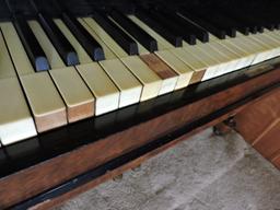 Wald Friberg - Kiobenhaven Upright Piano