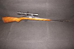 Marlin Model 60 22 LR