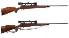 Two Weatherby Bolt Action Rifles with Scopes
