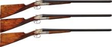 Evolution of Hunting Set of Three F.lli Gamba Sidelock Shotguns