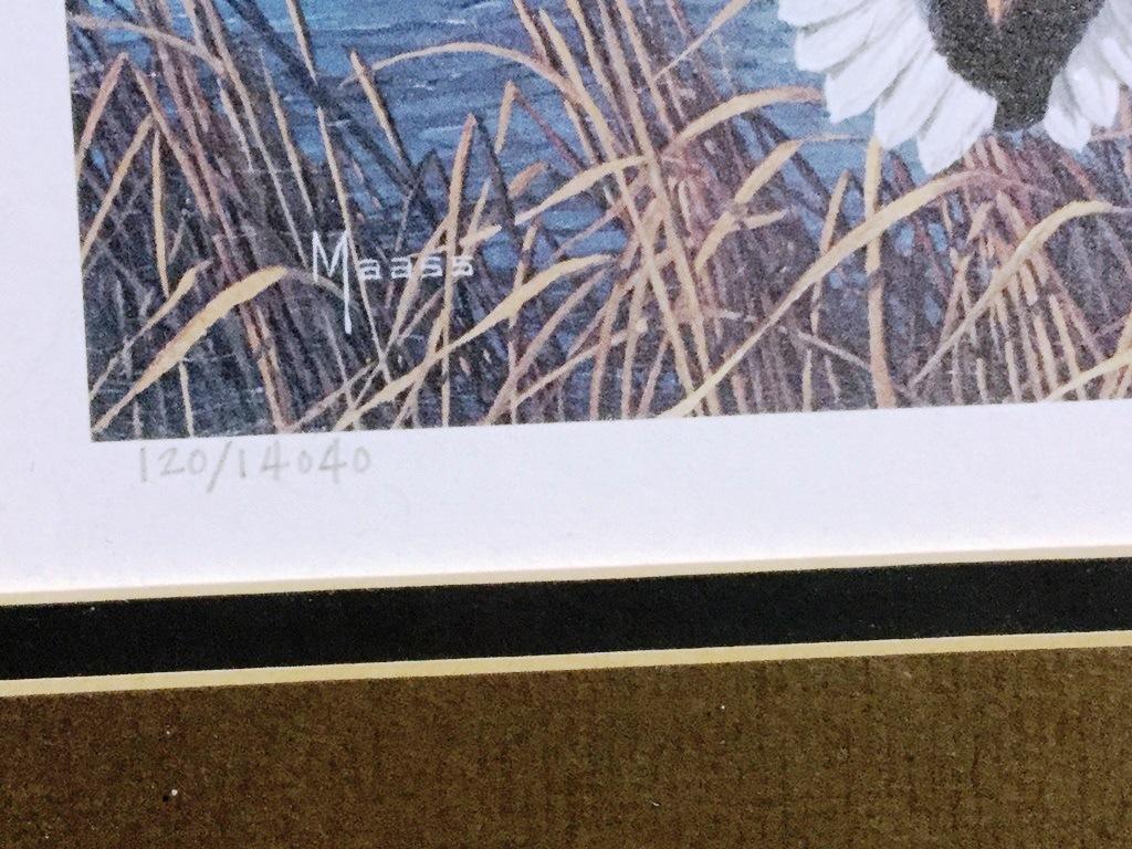 1986 Migratory Bird Print w/ Stamp Larry Barton #120