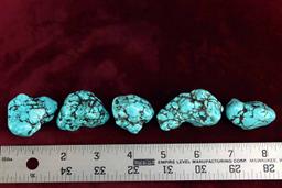 Polished Turquoise Stones