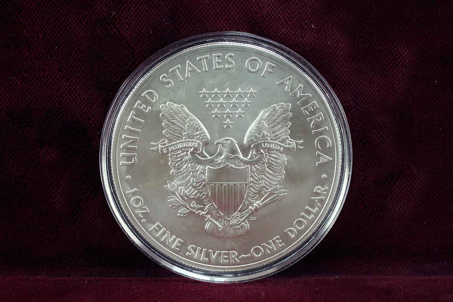 2013 American Silver Eagle