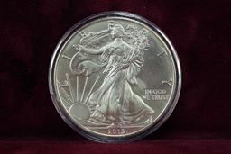 2013 American Silver Eagle