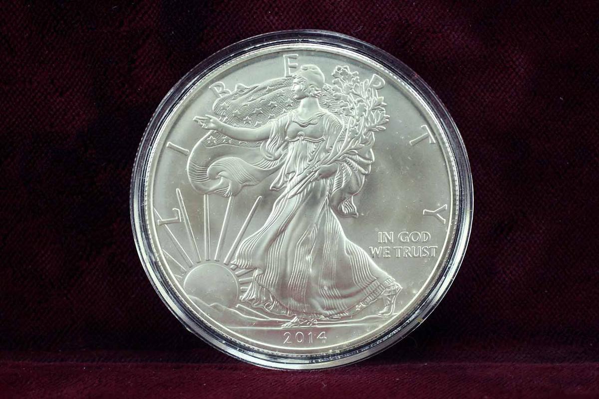 2014 American Silver Eagle