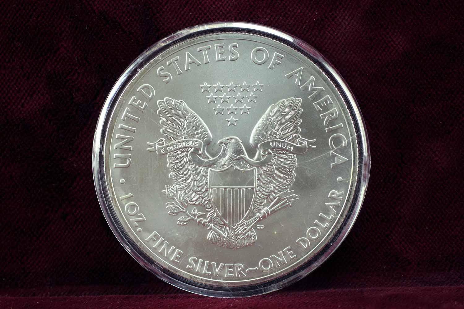 2013 American Silver Eagle