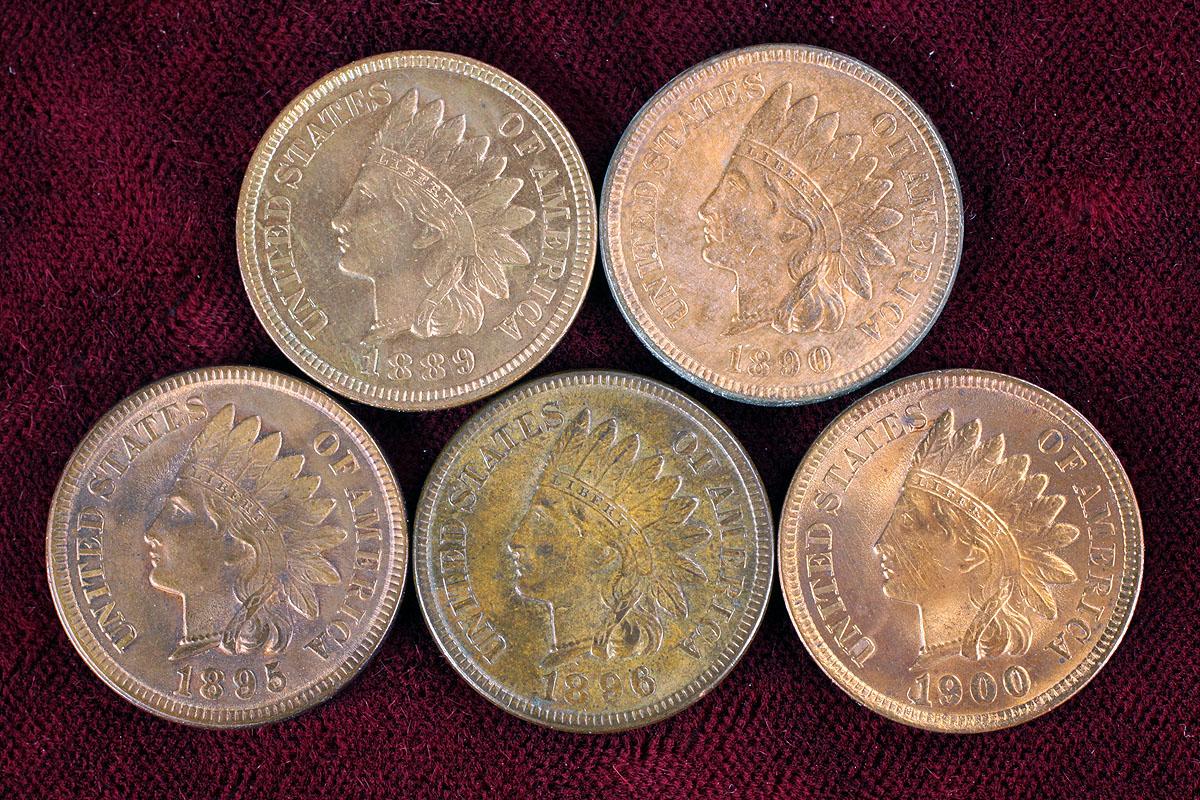 5 Indian Head Pennies; 1889, 1890,1895,1896,1900