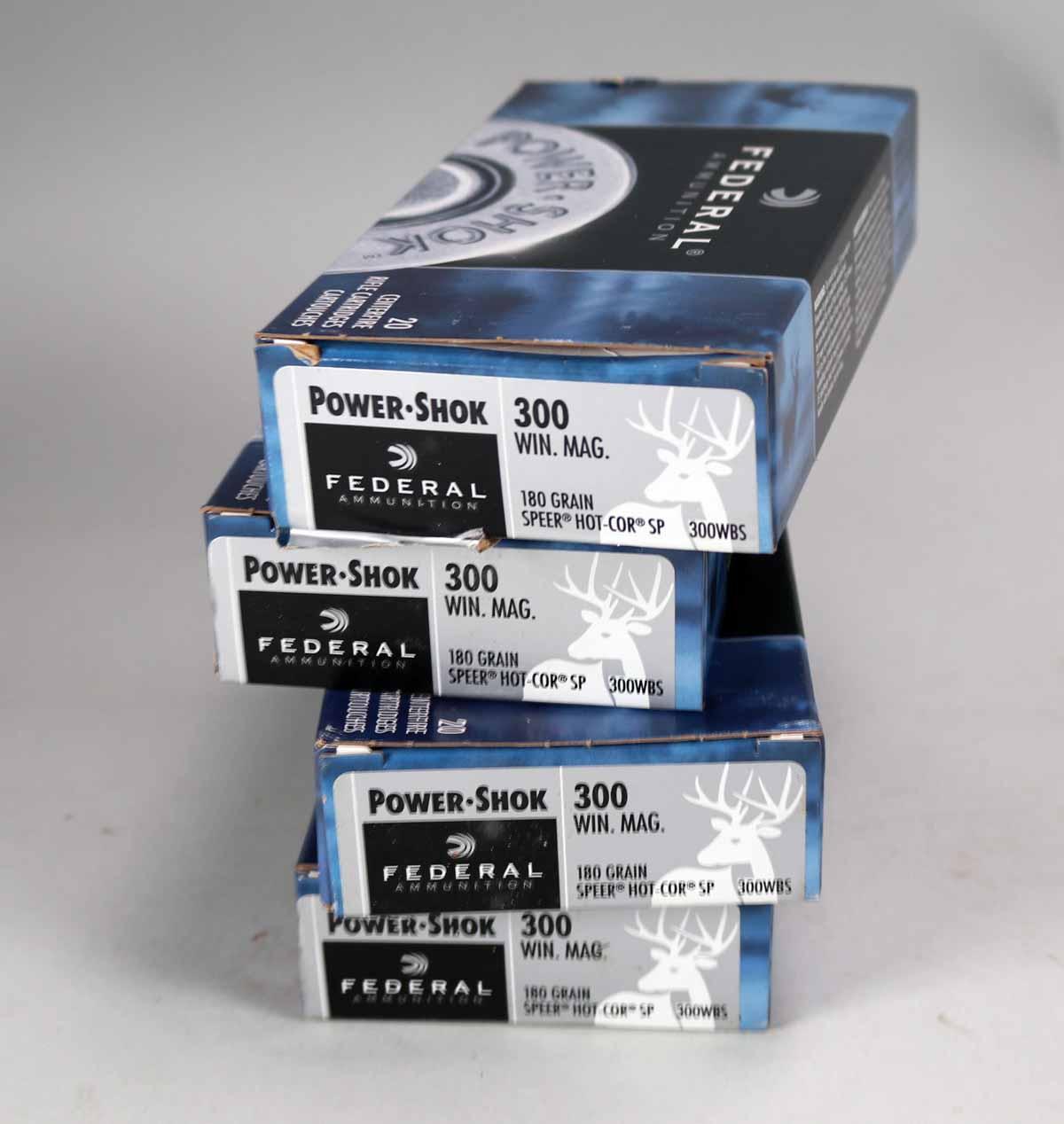 Federal & Remington .300 Win Mag Ammo, 120 Rds.