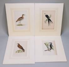 4 Morris Prints/Plates; Great Plover, Swallow Tail, Honey Buzzard &
