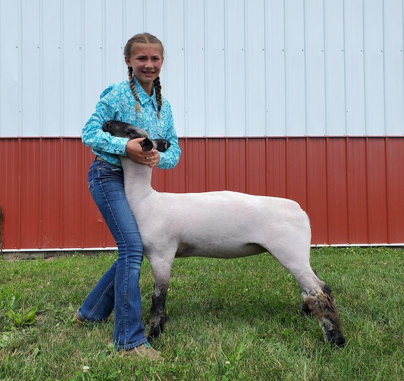 Audrie Adams---  130 LB EWE