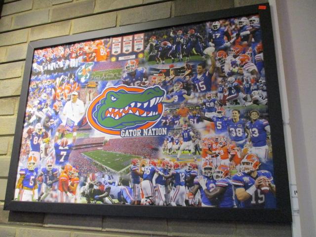 Gator Nation Framed Print