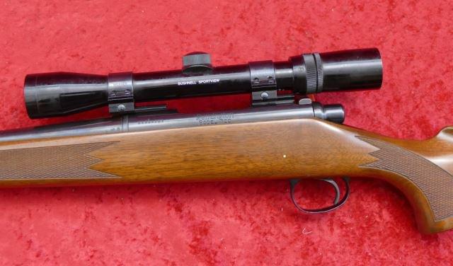 Remington Model 700 Rifle in 22-250 cal.