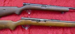 Pair of Semi Auto 22 Rifles