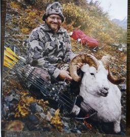 Dall's Sheep 146-6/8 Pope & Young Club