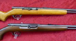 Pair of 22 cal Semi Automatic Rifles