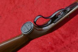 Rare Remington Nylon 76 Rifle