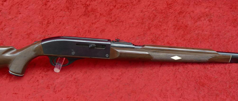 Remington Nylon 66 22 cal Rifle