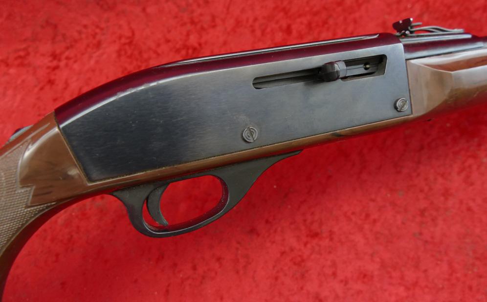 Remington Nylon 66 22 cal Rifle