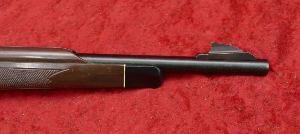 Remington Nylon 66