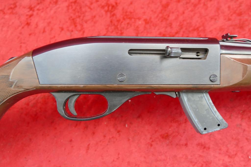 Remington Mohawk 10C Nylon 22 cal Rifle