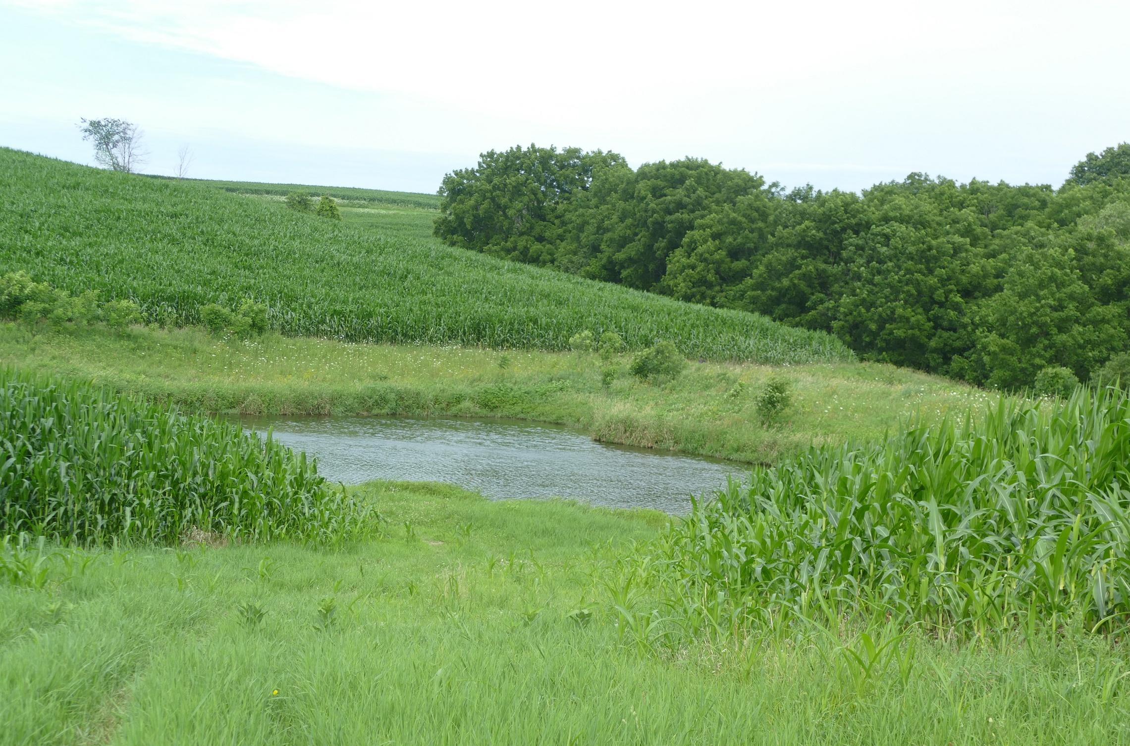 460 m/l Acre Riverview Farm Allamakee county