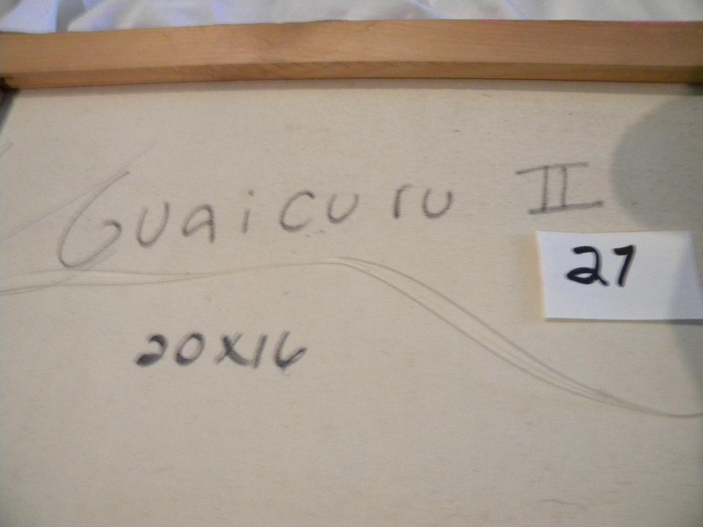 "Guaicuru II, 20 X 16, 2008.Acrylic on canvas