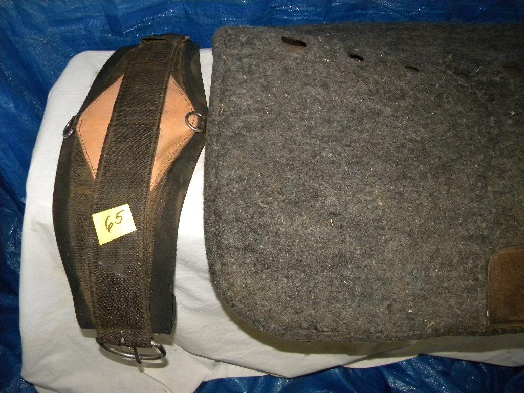 Cinch 32"; Heavy Saddle Pad.