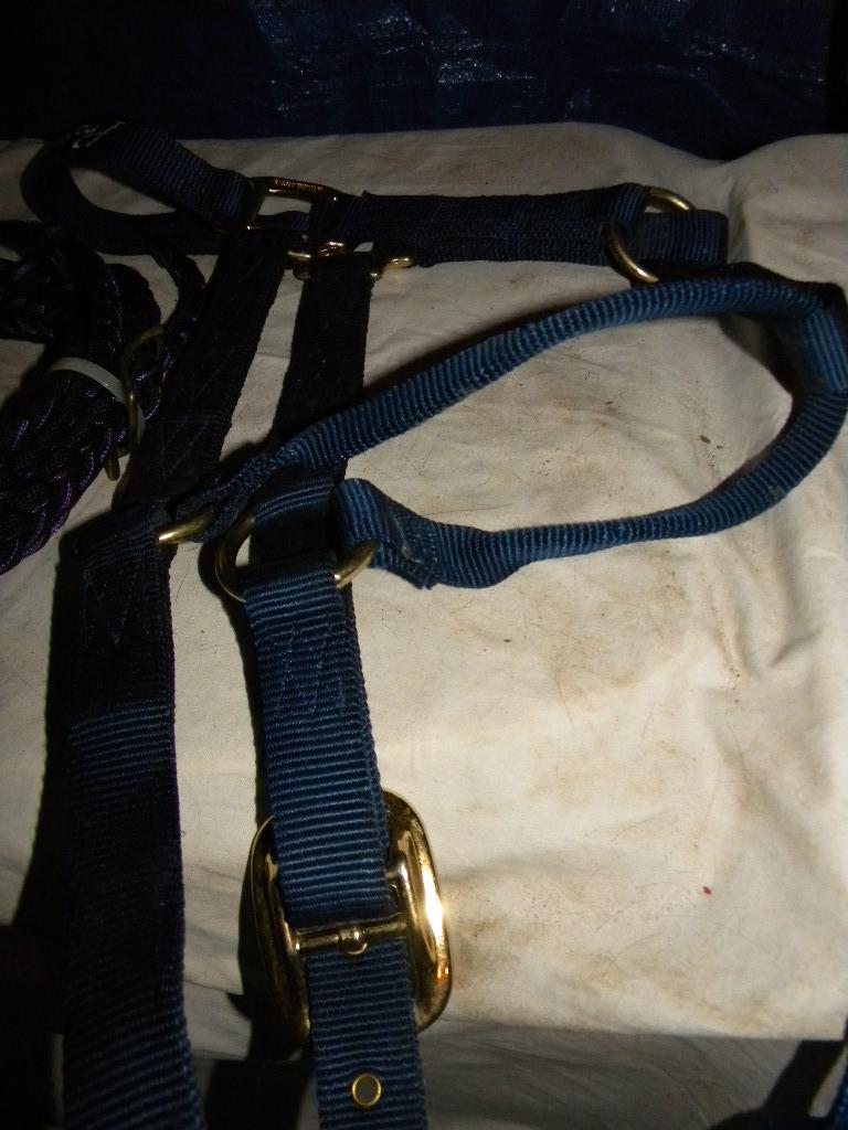 Halters (5)