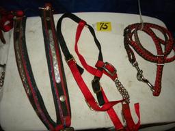 Bridle W/bit, Lead Strap, 2 Lead Ropes.