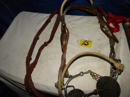 Bridle W/bit, Lead Strap, 2 Lead Ropes.