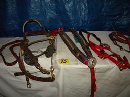 Bridle W/bit, Lead Strap, 2 Lead Ropes.